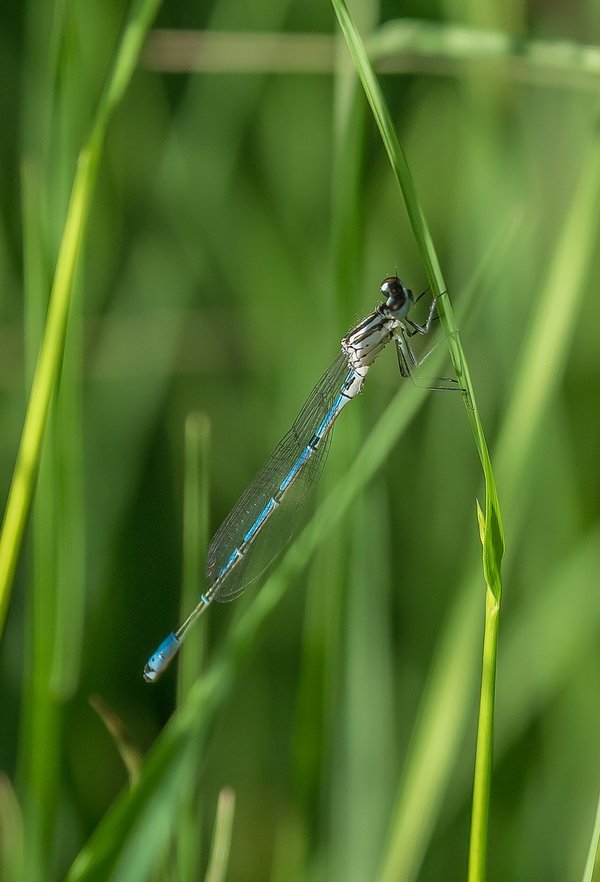 20220611-P6110177-Bearbeitet.jpg 20220611-P6110177-Bearbeitet.jpg