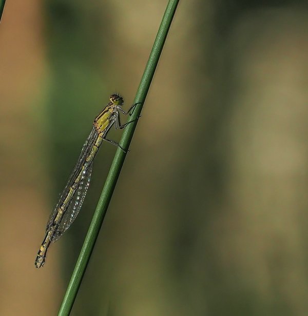 20220611-P6110220-Bearbeitet.jpg 20220611-P6110220-Bearbeitet.jpg