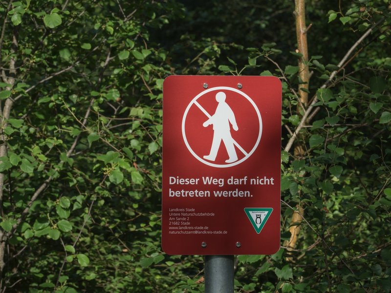 20220615-P6150001.jpg 20220615-P6150001.jpg