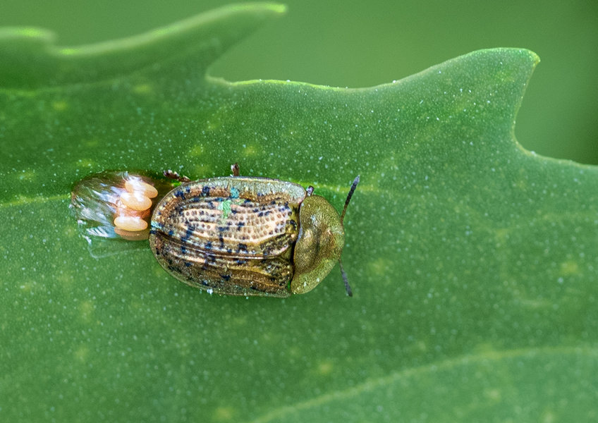 Kleintiere 2022-44.jpg