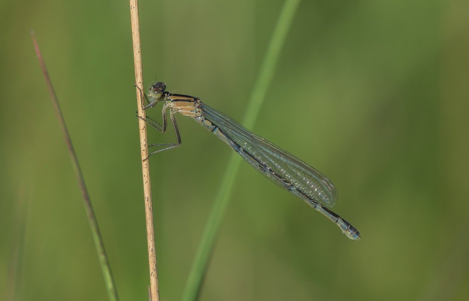 20220622-P6222246-Bearbeitet.jpg 20220622-P6222246-Bearbeitet.jpg