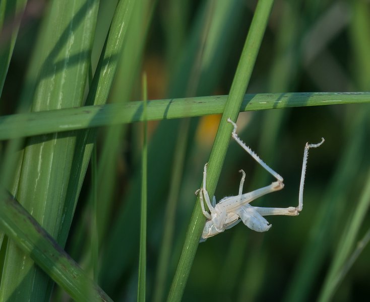 20220622-P6222253-Bearbeitet.jpg 20220622-P6222253-Bearbeitet.jpg