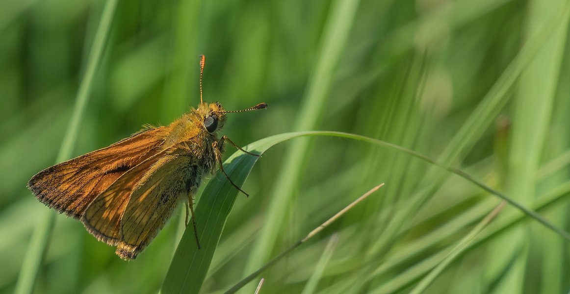 20220622-P6222270-Bearbeitet.jpg 20220622-P6222270-Bearbeitet.jpg