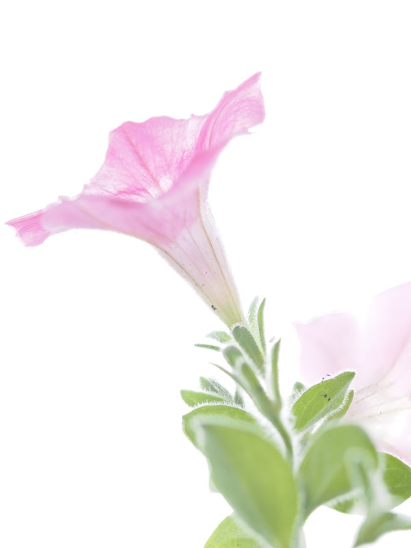 Sedlitz 2022-1010.jpg