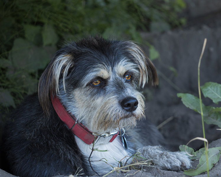 Roxy 2022-547-Bearbeitet.jpg