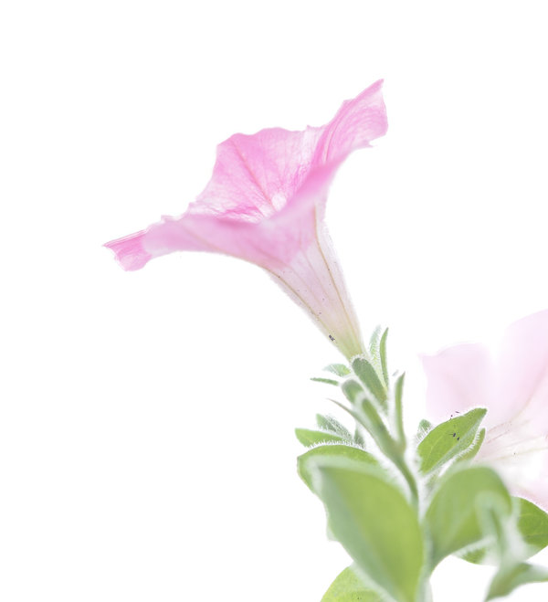 Sedlitz 2022_1010_2.jpg