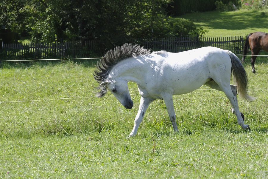 _IMG6780_DxO.jpg _IMG6780_DxO.jpg