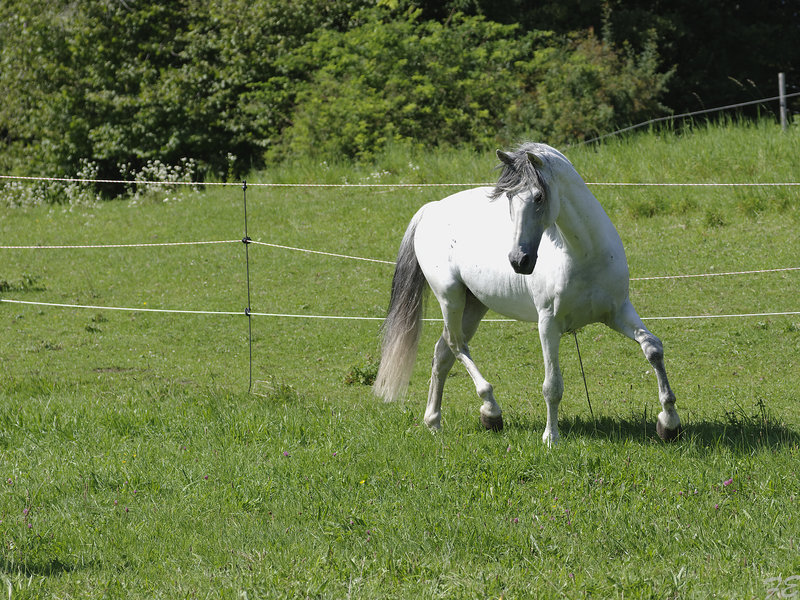 _IMG6805_DxO.jpg _IMG6805_DxO.jpg