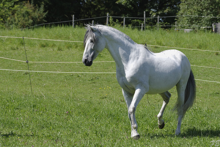 _IMG6808_DxO.jpg _IMG6808_DxO.jpg