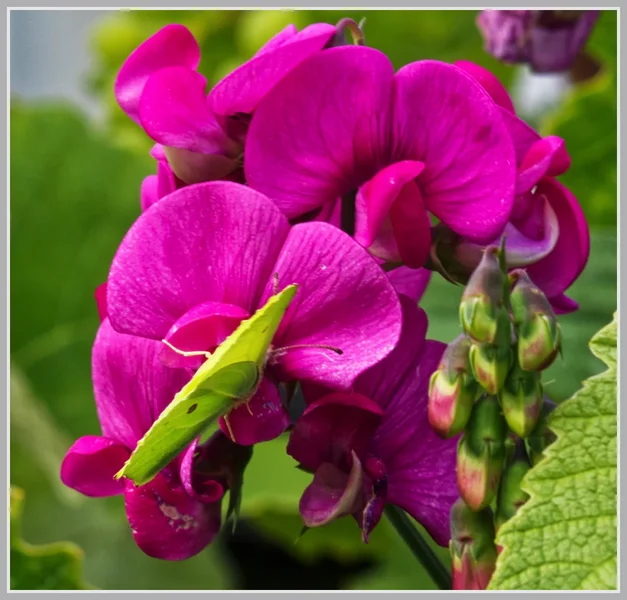 _small_IMGP8054_1_DxO.webp _small_IMGP8054_1_DxO.webp