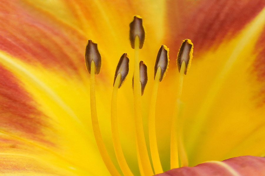 LilieggrossTeilmStaubSL2SiMac1052EXTRECHTECKFINFINFIN_1500x999.jpg