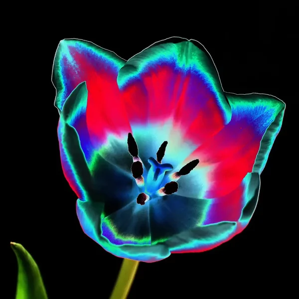 ci_08_PG9_3037.webp