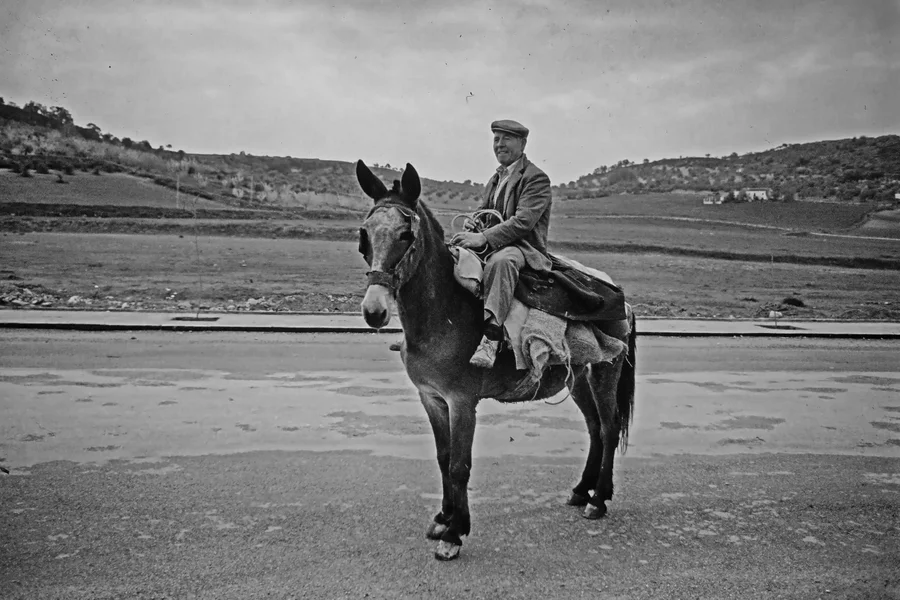 MannaufEselinAndalusienFINFINFINSCHWARZWEISS_1500x1000.webp