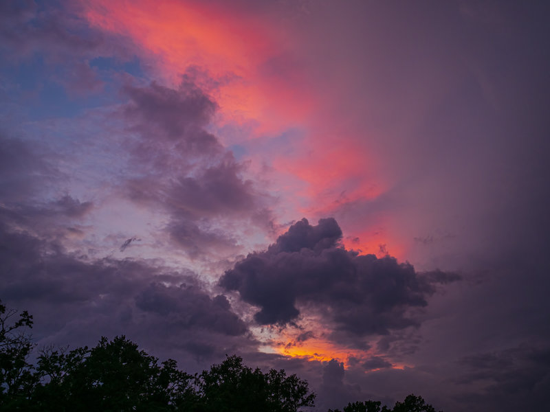 Sedlitz 2022-1191-Bearbeitet.jpg