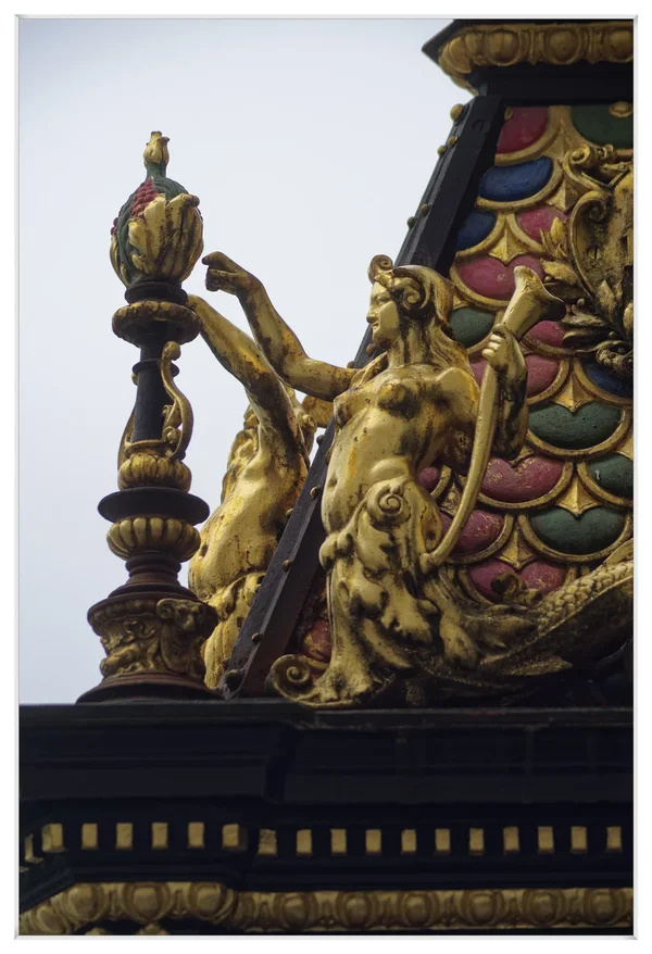 _IMG3959_DxO.jpg