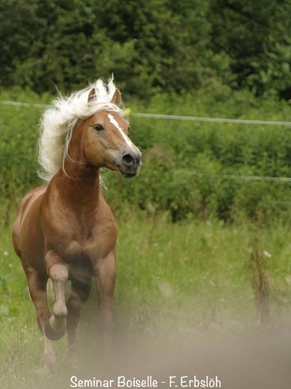 _IMG5247_DxO.jpg _IMG5247_DxO.jpg