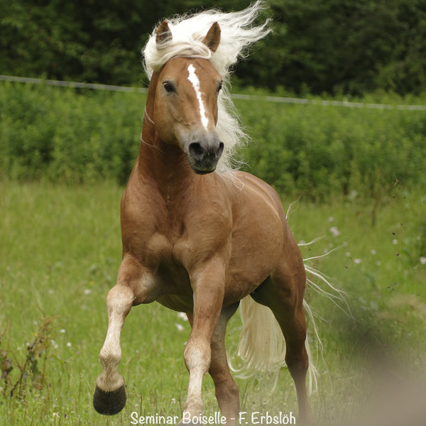 _IMG5249_DxO.jpg _IMG5249_DxO.jpg