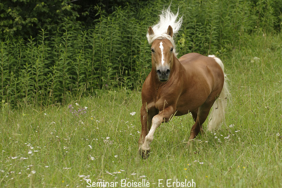 _IMG5255_DxO.jpg _IMG5255_DxO.jpg