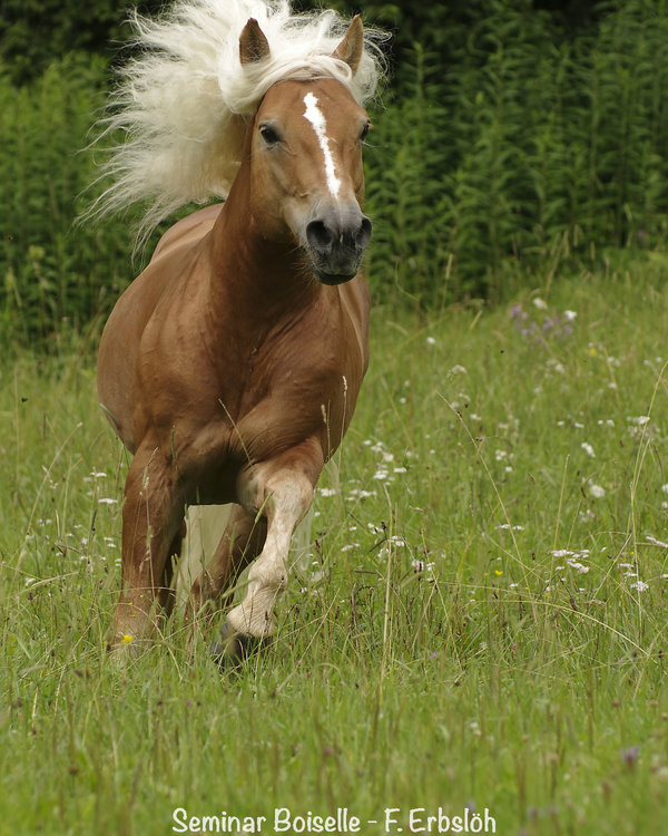 _IMG5258_DxO.jpg _IMG5258_DxO.jpg