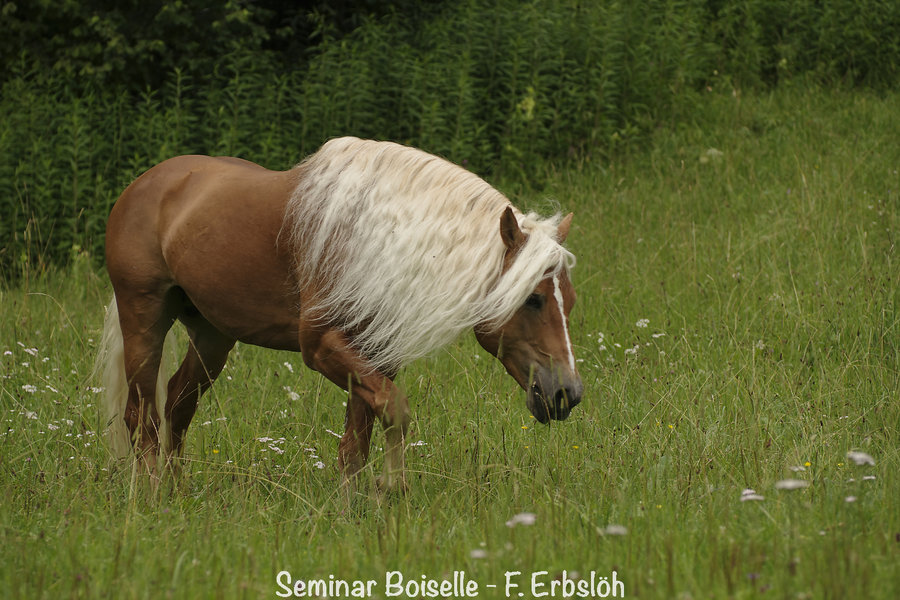 _IMG5264_DxO.jpg _IMG5264_DxO.jpg