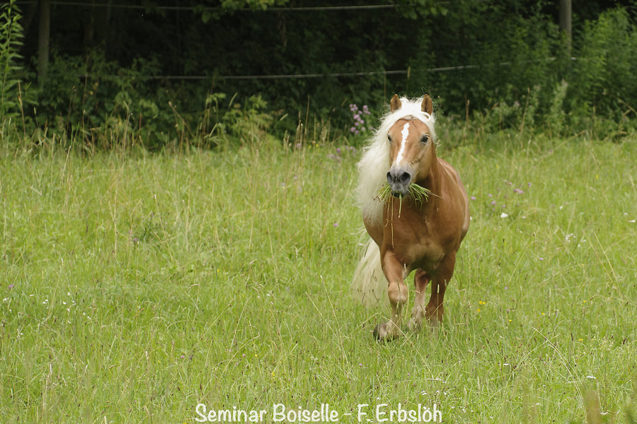 _IMG5275_DxO.jpg _IMG5275_DxO.jpg