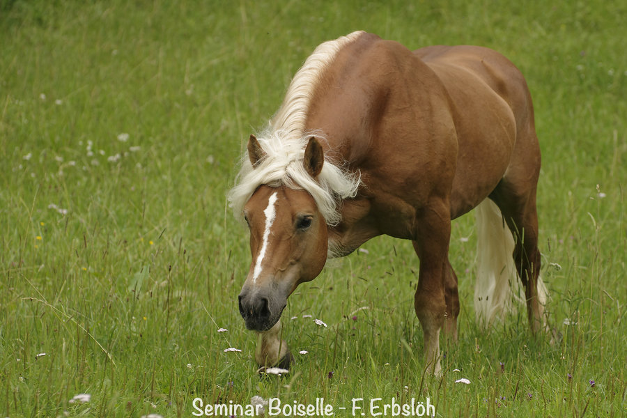 _IMG5315_DxO.jpg _IMG5315_DxO.jpg