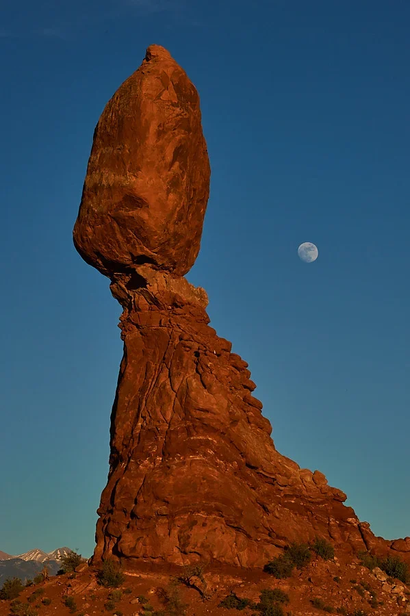 REG_1044.webp