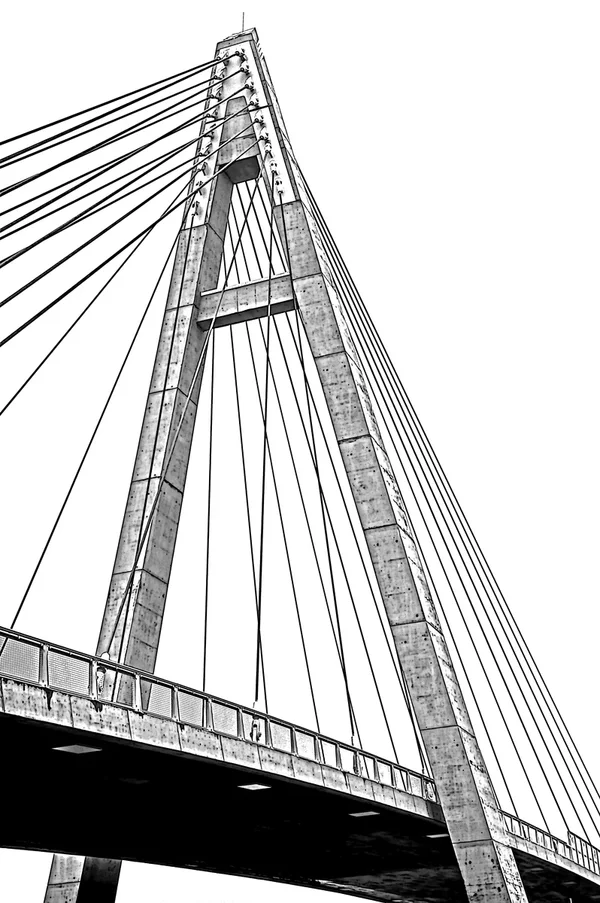 Pylonbrücke.webp