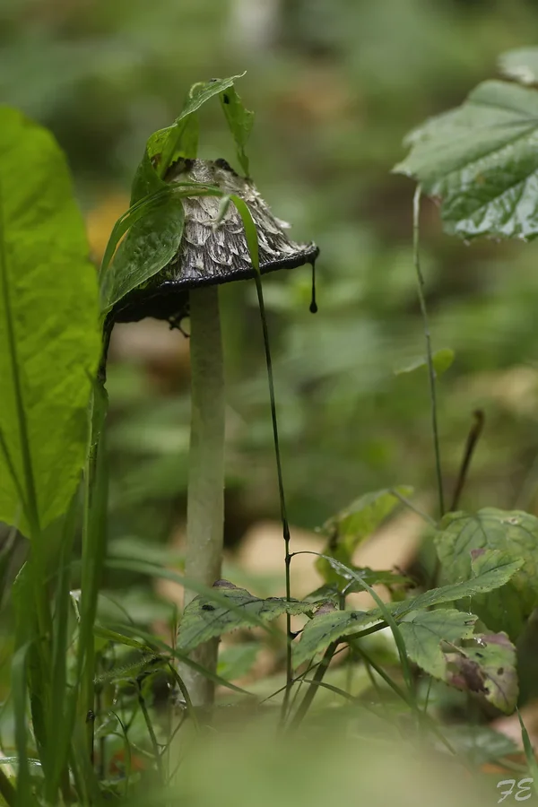 _IMG0835_DxO.webp