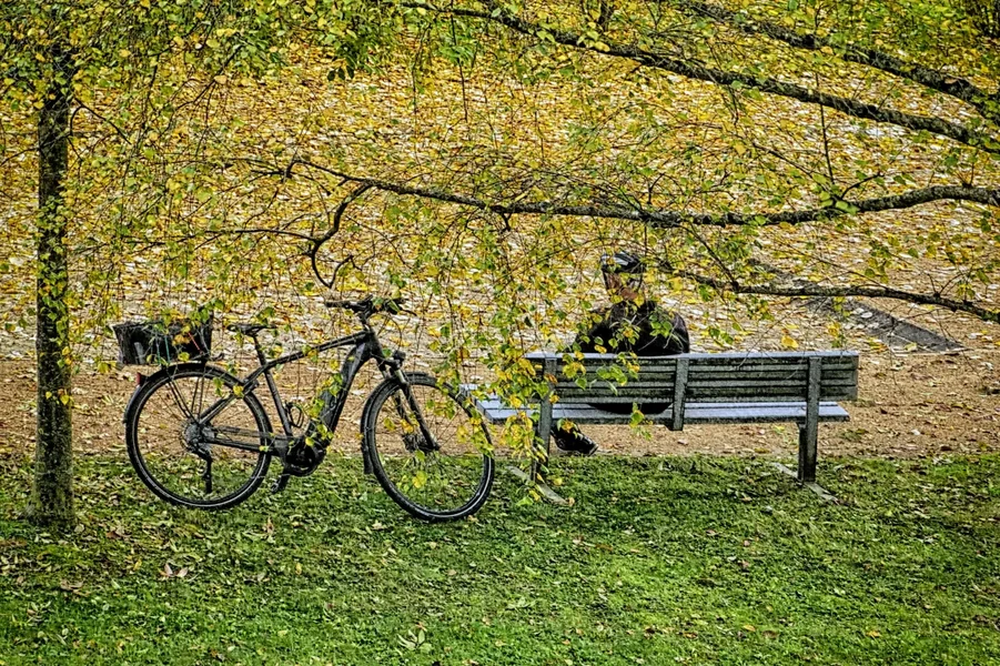 RadlerrastSL2Si105Mac2EXTENDVERSIONFINAL_1500x999.webp