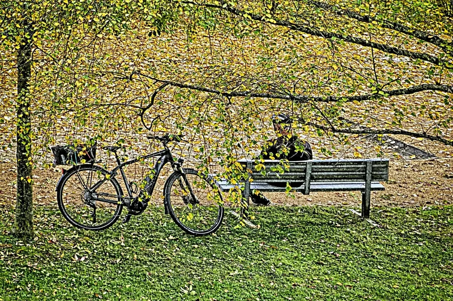 RadlerrastSL2Si105Mac2EXTENDVERSIONFINALEXTREMSCHARFFILTER_1500x999.webp