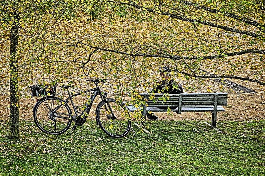 RadlerrastSL2Si105Mac2EXTENDVERSIONFINALEXTREMSCHARFFILTER_1500x999.jpg