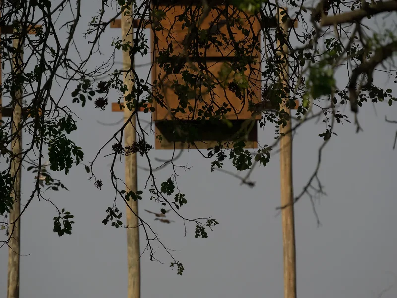 P9172283-Bearbeitet.jpg