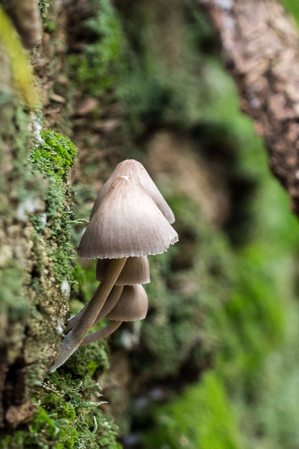 20221019-PA190410 Aachen.JPG 20221019-PA190410 Aachen.JPG