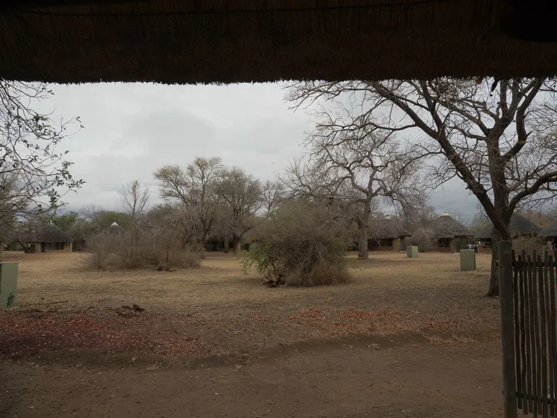 P9210951.webp
