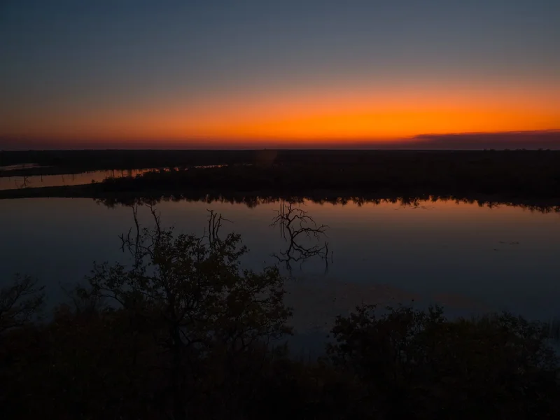 P9251244.webp
