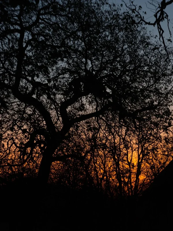 P9271320.webp
