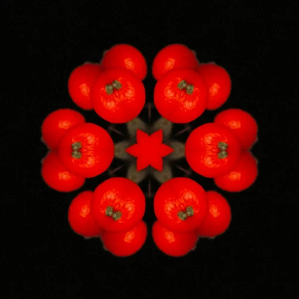 RoterBeerenTraubeaufSchwarzSL2Si105MacroFANTASYKAL6QUADRAT_1000x1000.webp