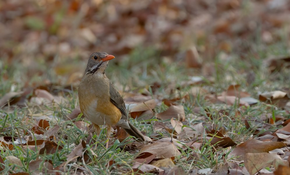 P9275302-Bearbeitet.jpg P9275302-Bearbeitet.jpg