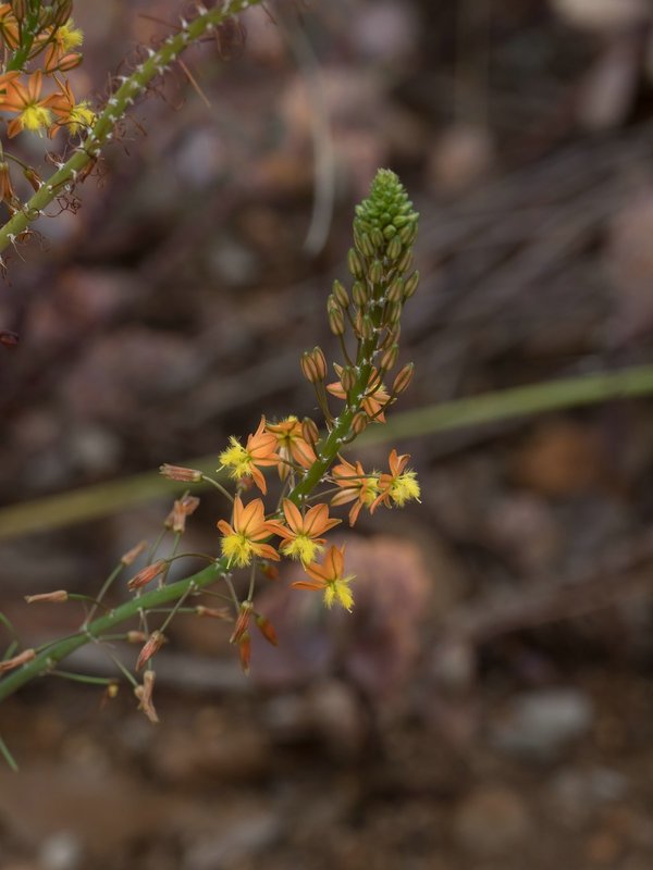 P9291346.jpg P9291346.jpg