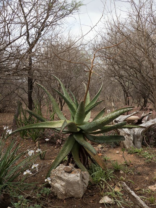 P9291361.jpg P9291361.jpg