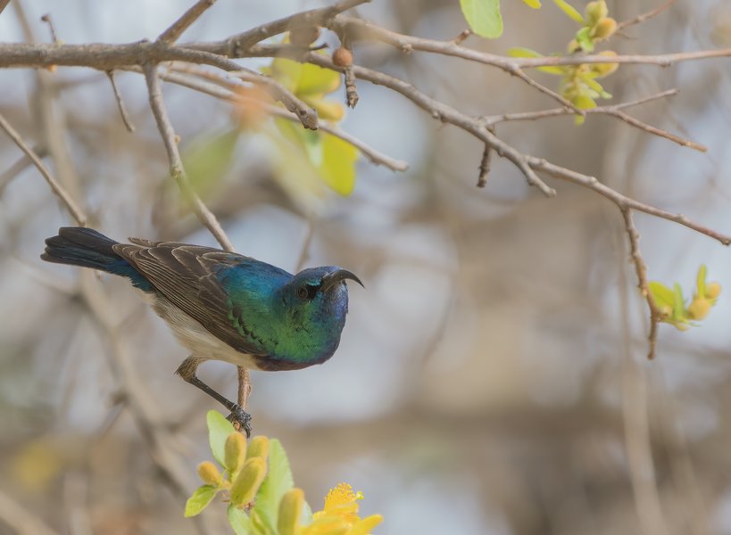 P9295345-Bearbeitet.jpg P9295345-Bearbeitet.jpg