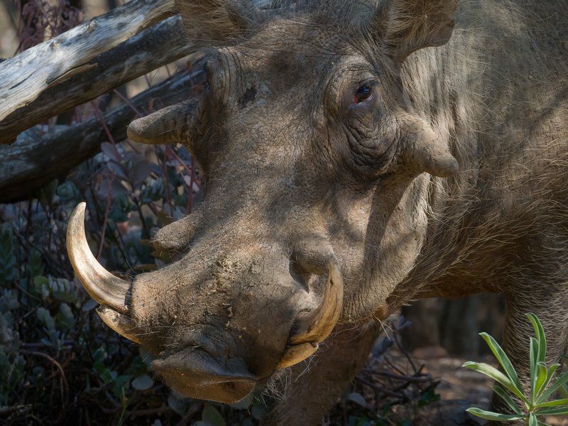 P9305576-Bearbeitet.jpg P9305576-Bearbeitet.jpg