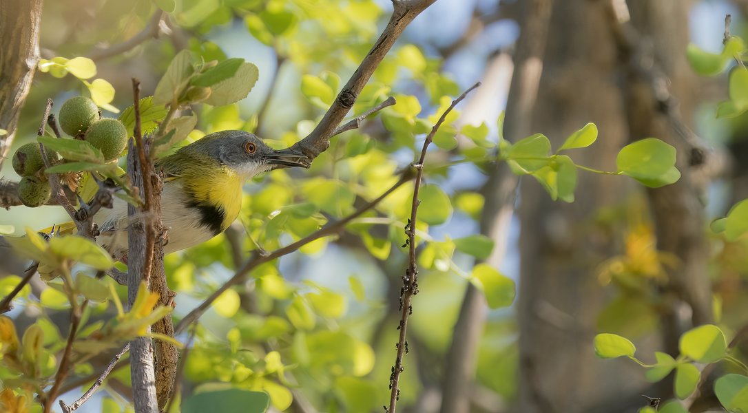 P9305627-Bearbeitet.jpg P9305627-Bearbeitet.jpg
