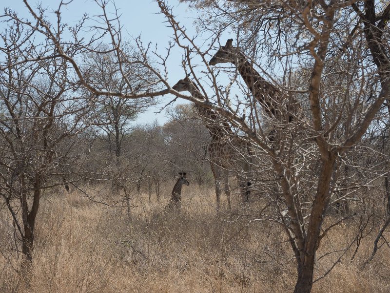 P9301391.jpg P9301391.jpg