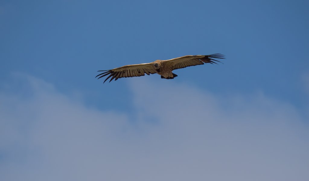 P9305452-Bearbeitet.jpg P9305452-Bearbeitet.jpg