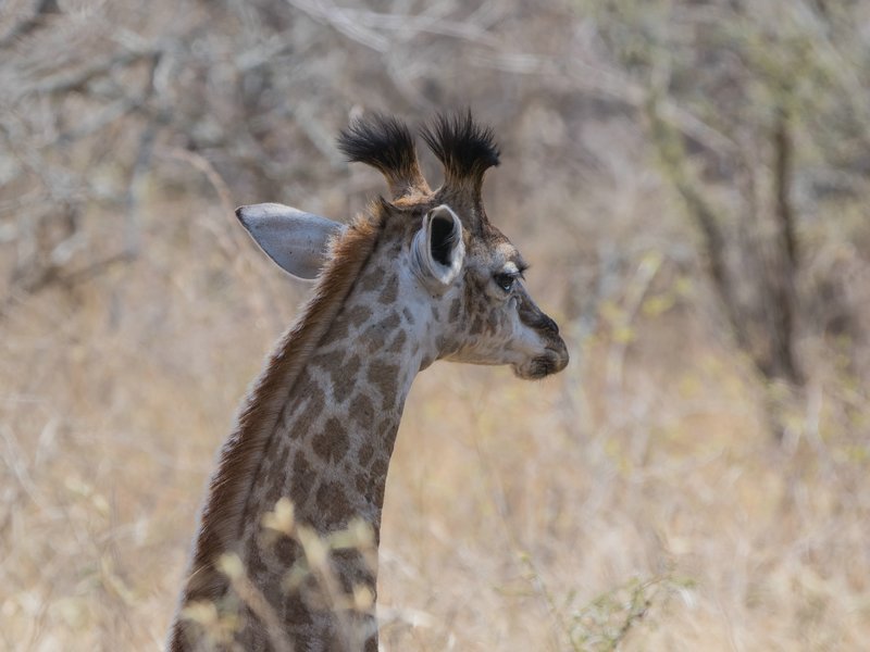 P9305459-Bearbeitet.jpg P9305459-Bearbeitet.jpg