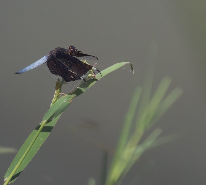 P9305494-Bearbeitet.jpg P9305494-Bearbeitet.jpg