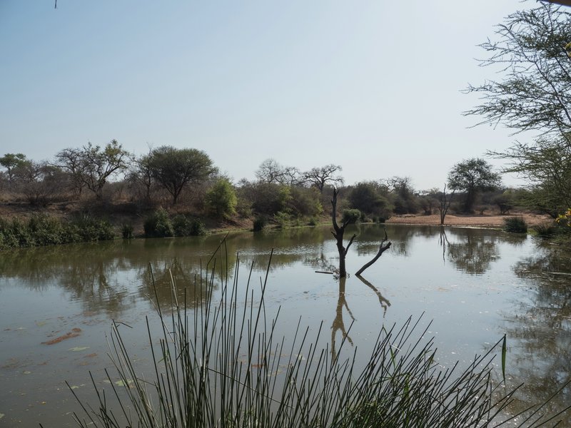 PA011416.jpg PA011416.jpg