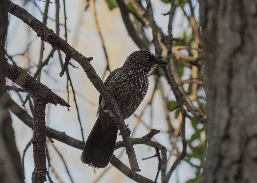 PA015767-Bearbeitet.jpg PA015767-Bearbeitet.jpg